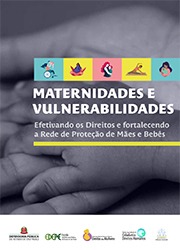 Maternidades e vulnerabilidades: efetivando os direitos e fortalecendo a rede de proteção de mães e bebês