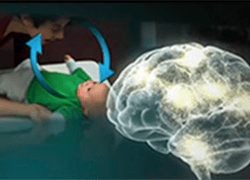 O jogo de ação e reação modela os circuitos do cérebro
